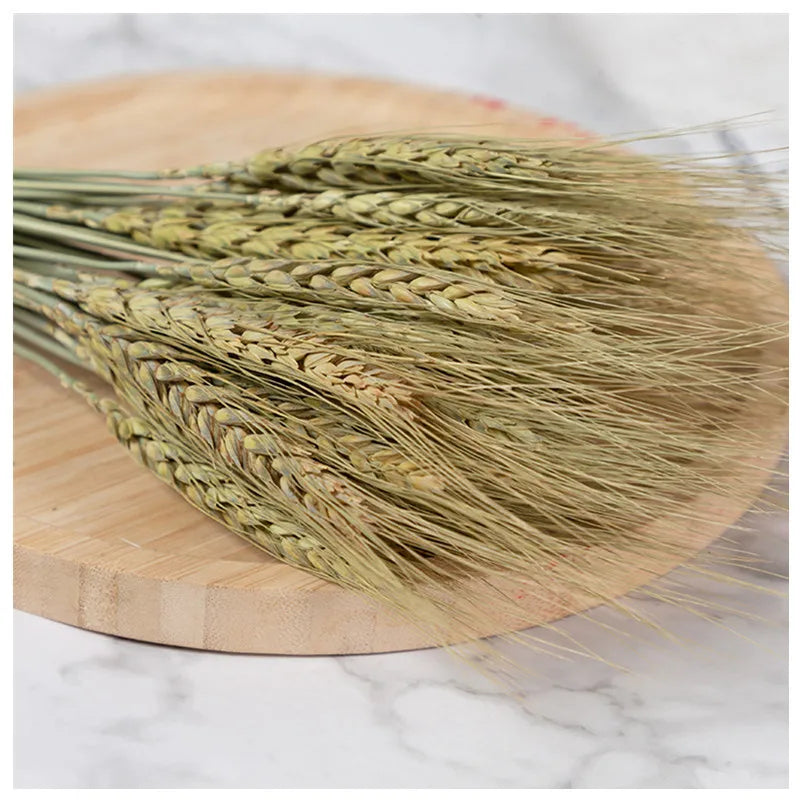 50/100Pcs Real Wheat Ear Natural Dried Bunny Tail Grass Boho Dried Flowers Wedding Party Decor Home DIY Craft Bouquet Decoration