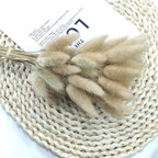 50/100Pcs Real Wheat Ear Natural Dried Bunny Tail Grass Boho Dried Flowers Wedding Party Decor Home DIY Craft Bouquet Decoration