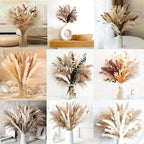 80PCS Natural Dried Flowers Bouquet Pampas Grass Bunny Tail Grass Boho Home Wedding Decor Reeds Eucalyptus Floral Arrangement