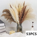 Natural Pampas Grass Bouquet Dried Flowers Autumn Home Room Decoration DIY Christmas Gift Artificial Flowers Wedding Arrangement
