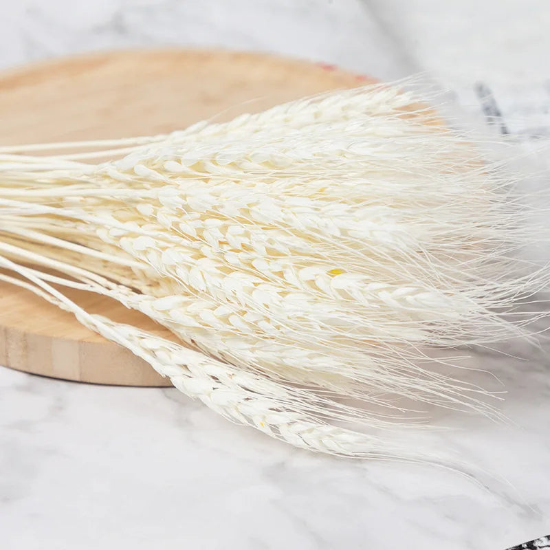 50/100Pcs Real Wheat Ear Natural Dried Bunny Tail Grass Boho Dried Flowers Wedding Party Decor Home DIY Craft Bouquet Decoration
