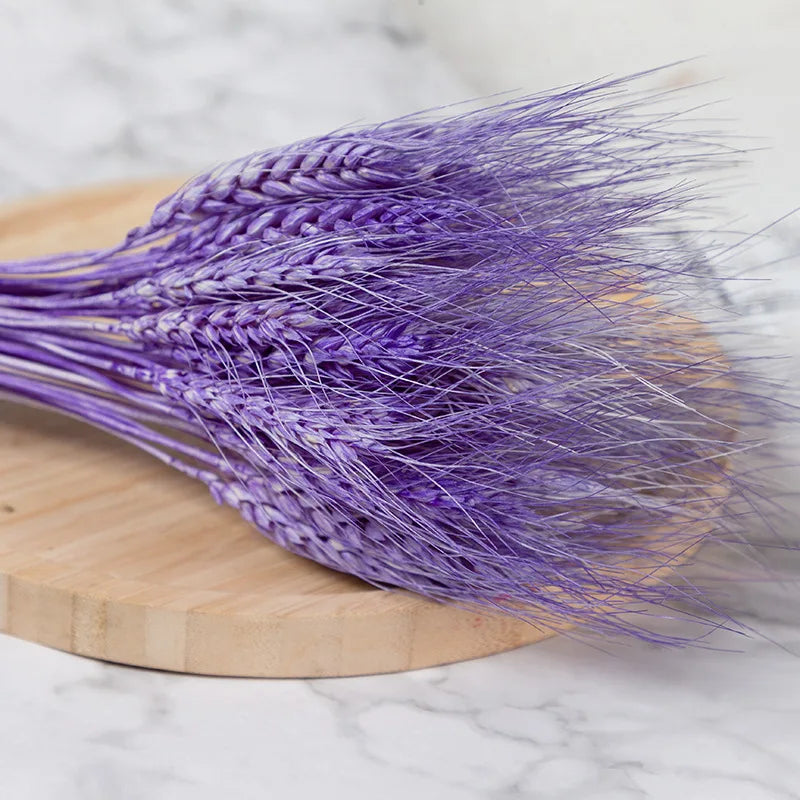 50/100Pcs Real Wheat Ear Natural Dried Bunny Tail Grass Boho Dried Flowers Wedding Party Decor Home DIY Craft Bouquet Decoration
