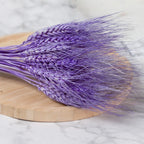 50/100Pcs Real Wheat Ear Natural Dried Bunny Tail Grass Boho Dried Flowers Wedding Party Decor Home DIY Craft Bouquet Decoration