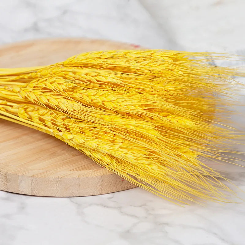 50/100Pcs Real Wheat Ear Natural Dried Bunny Tail Grass Boho Dried Flowers Wedding Party Decor Home DIY Craft Bouquet Decoration