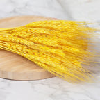50/100Pcs Real Wheat Ear Natural Dried Bunny Tail Grass Boho Dried Flowers Wedding Party Decor Home DIY Craft Bouquet Decoration