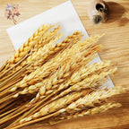 50/100Pcs Real Wheat Ear Natural Dried Bunny Tail Grass Boho Dried Flowers Wedding Party Decor Home DIY Craft Bouquet Decoration